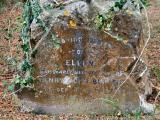 image of grave number 166742